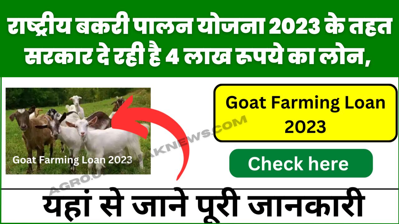 goat farming loan