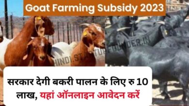 Goat-Farming-Subsidy