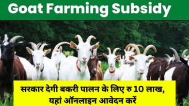 Goat-Farming-Subsidy