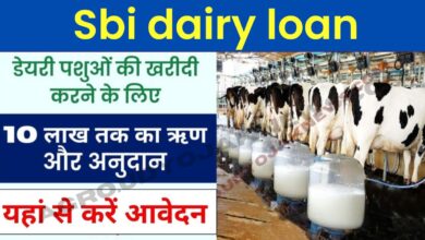 sbi dairy loan